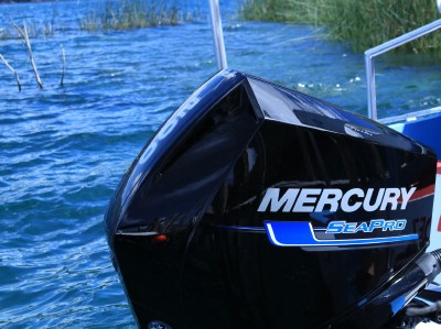 Мотор Mercury 150 HP Fourstroke